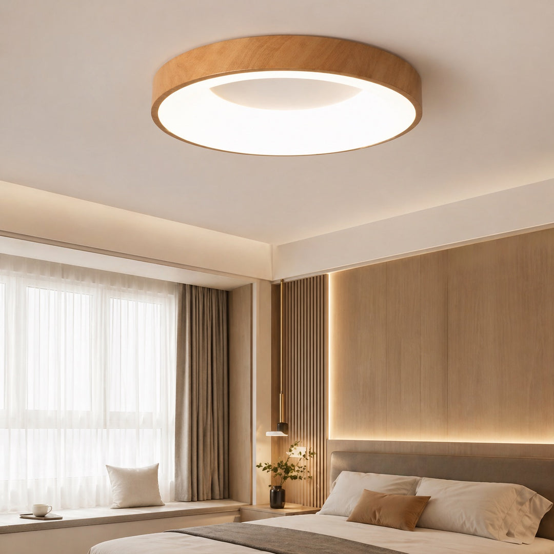 Modern Flush Mount Ceiling Light Round LED Fixture for Indoor Living Room Bedroom
