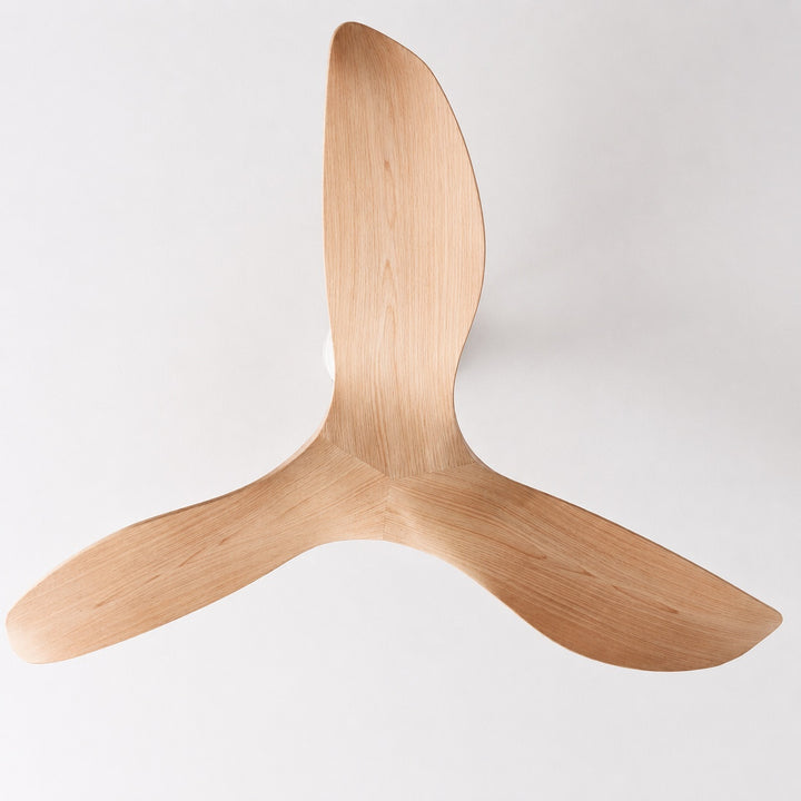 Flush Mount Ceiling Fan with Remote Control, 6-Speed DC Motor & Reversible Blades