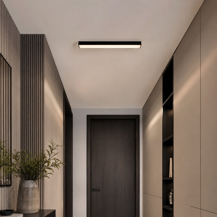 Modern Minimalist Ceiling Light Flush Mount LED Dimmable Aluminum Indoor Lighting