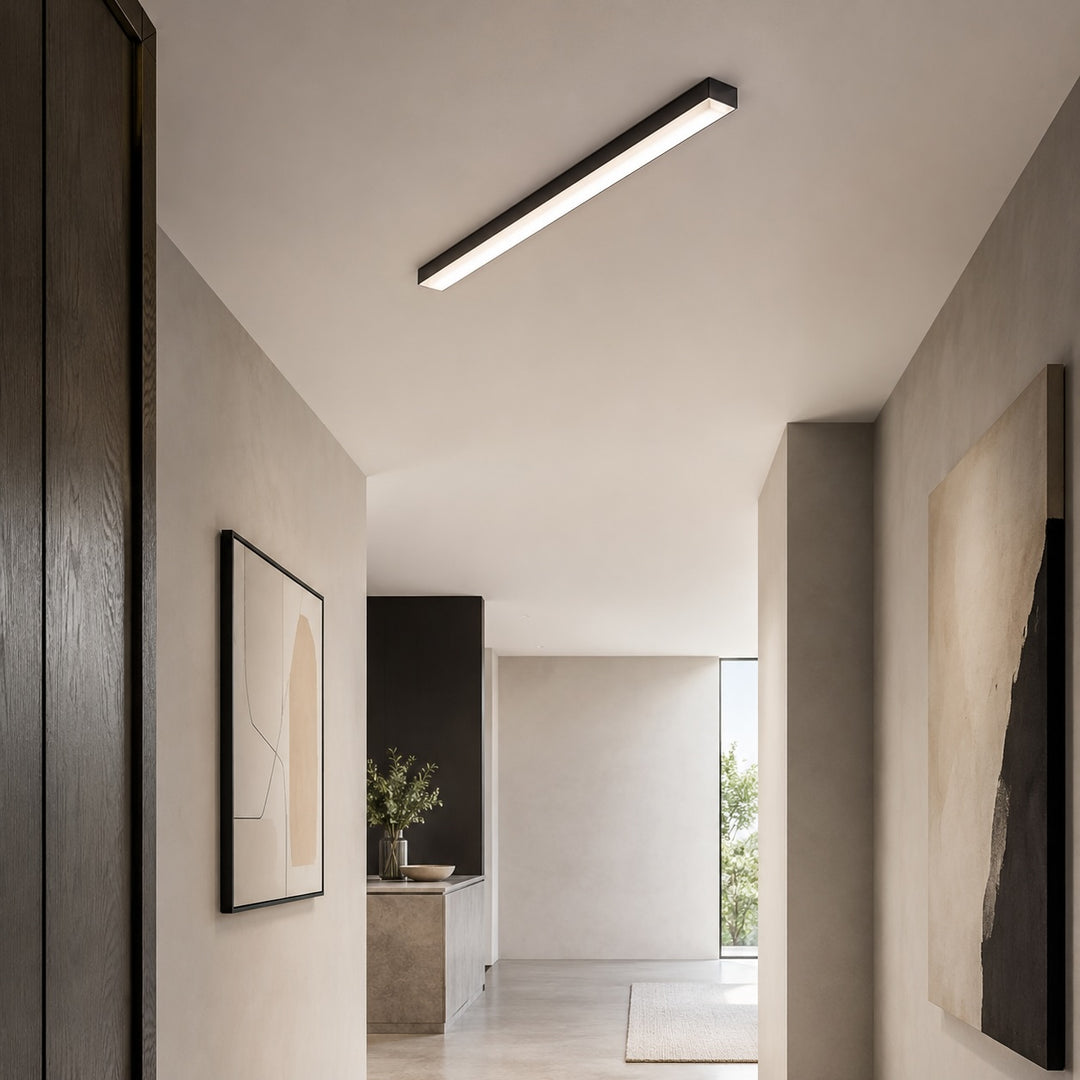 Modern Minimalist Ceiling Light Flush Mount LED Dimmable Aluminum Indoor Lighting