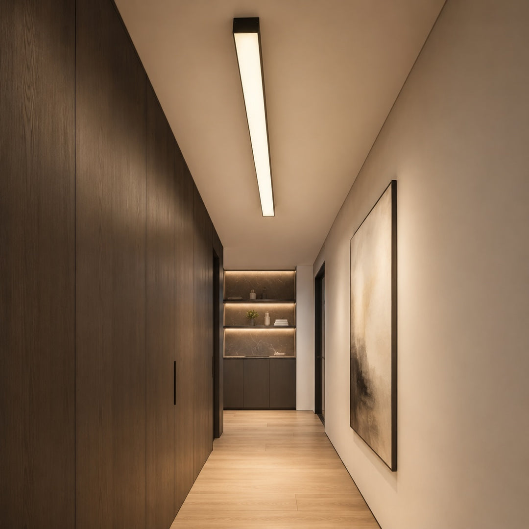 Modern Minimalist Ceiling Light Flush Mount LED Dimmable Aluminum Indoor Lighting