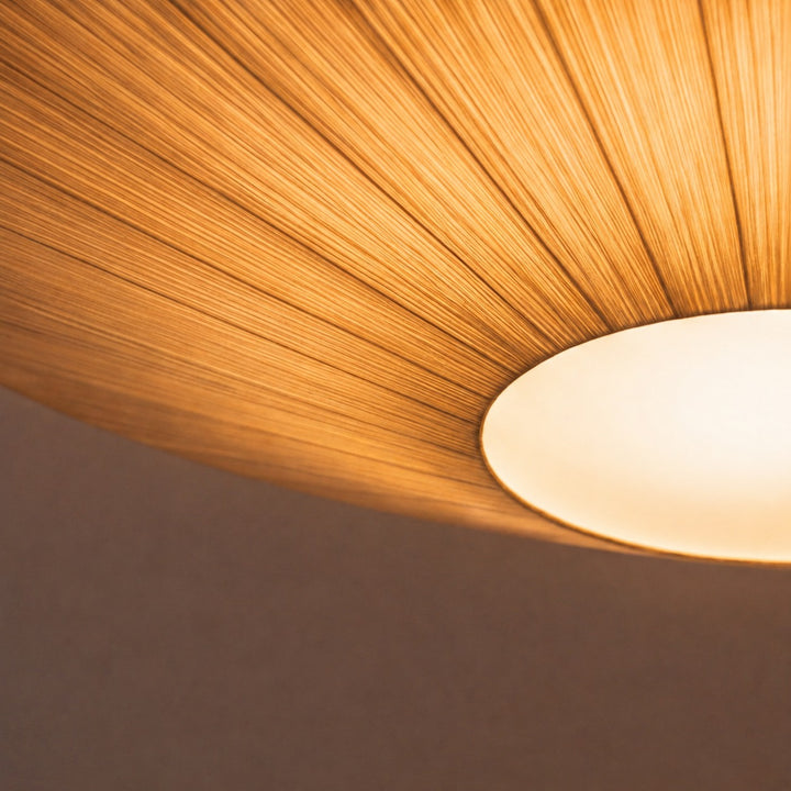 Modern Flush Mount Ceiling Light Metal LED Fixture with Adjustable Brightness for Home Decor