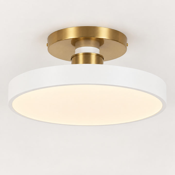 Modern Flush Mount Ceiling Light with Glass Shade and LED Lighting 12W 3000K