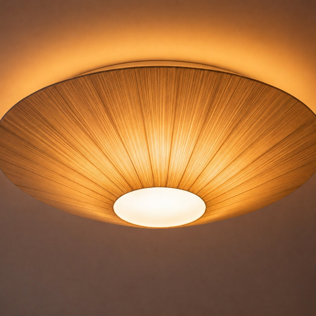 Modern Flush Mount Ceiling Light Metal LED Fixture with Adjustable Brightness for Home Decor