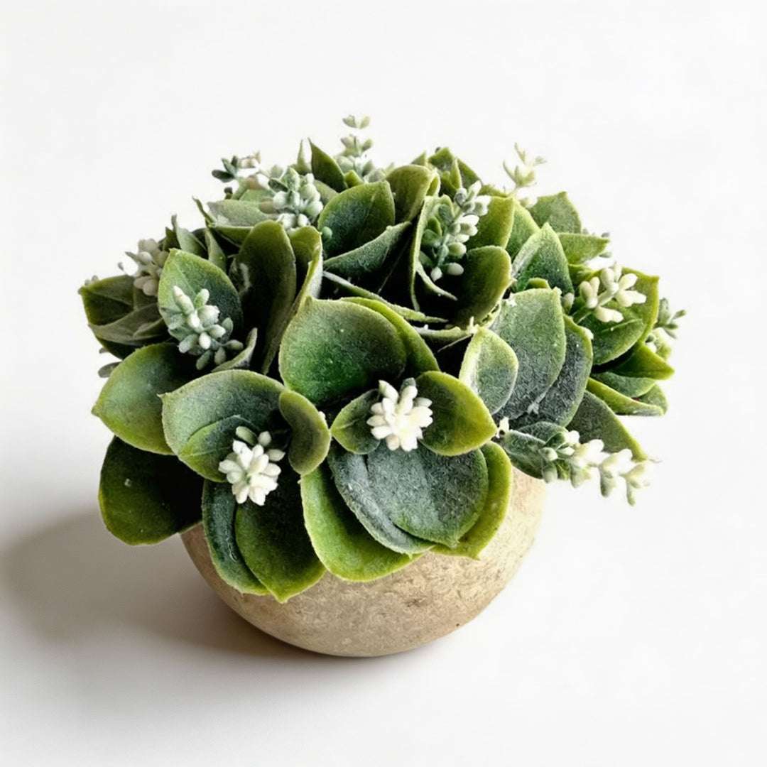 Artificial Plant White Flowering Succulent Indoor Decoration Round Pot Durable Plastic Foam Clay Low Maintenance