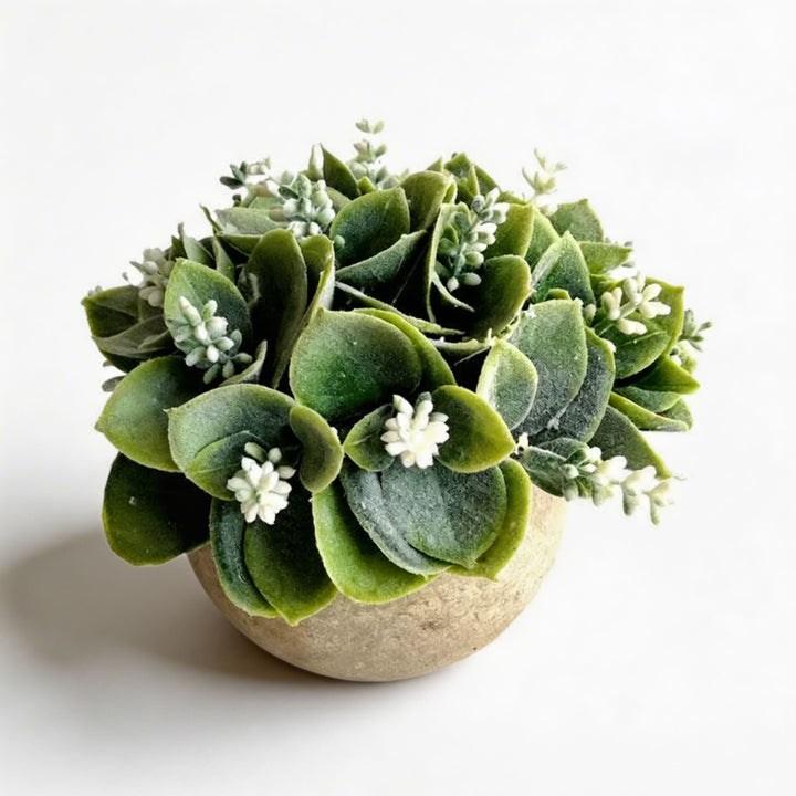 Artificial Plant White Flowering Succulent Indoor Decoration Round Pot Durable Plastic Foam Clay Low Maintenance