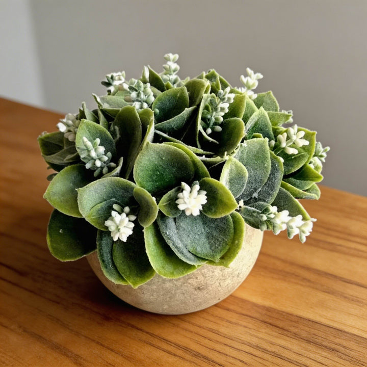 Artificial Plant White Flowering Succulent Indoor Decoration Round Pot Durable Plastic Foam Clay Low Maintenance