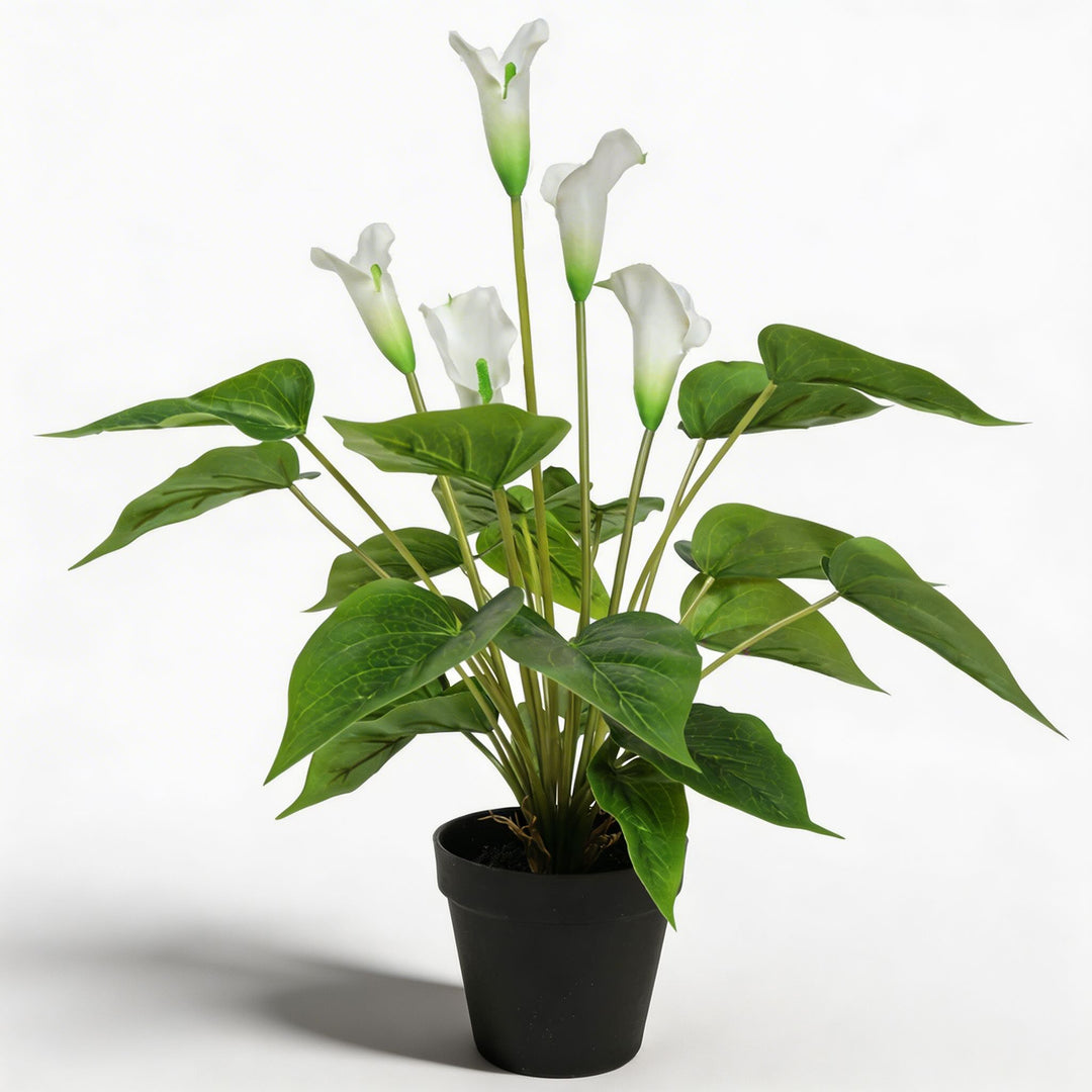 Artificial Plant Calla Lily 19.7 in Indoor Arrangement Realistic Design Low Maintenance