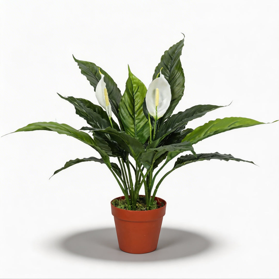 Artificial Plant Spathiphyllum Peace Lily 23.6 in Indoor Faux Floral Arrangement Low Maintenance Realistic