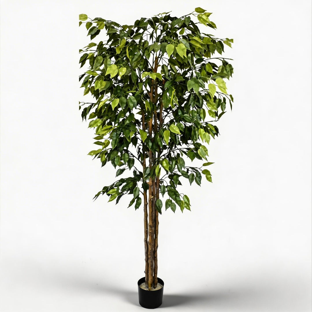 UV Resistant Artificial Ficus Tree 70.9 in Lifelike Design for Outdoor and Indoor Spaces
