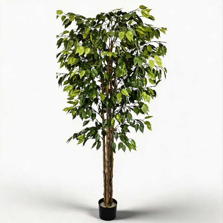 UV Resistant Artificial Ficus Tree 70.9 in Lifelike Design for Outdoor and Indoor Spaces