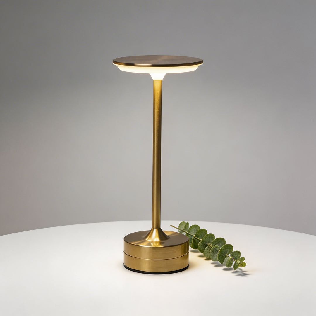Modern LED Cordless Table Lamp Adjustable Brightness Metal Acrylic Design USB Rechargeable