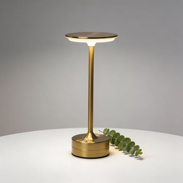 Modern LED Cordless Table Lamp Adjustable Brightness Metal Acrylic Design USB Rechargeable