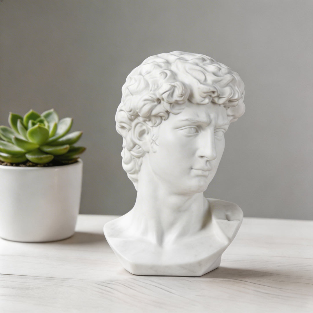 Modern Abstract David Head Bust Sculpture Decorative Art Piece Hand-Carved Resin Unique Design