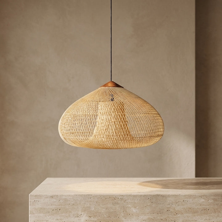Handwoven Rattan Boho Hanging Ceiling Pendant Light