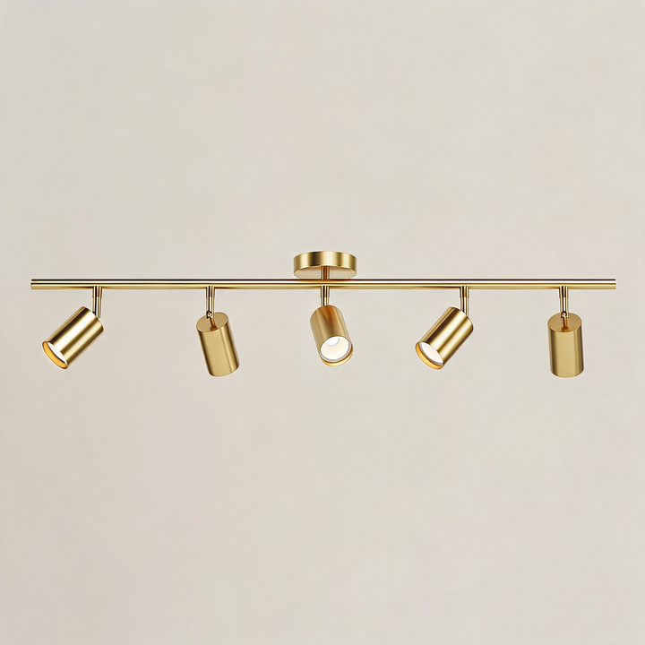 Modern Ceiling Light Adjustable Flush Mount Metal Chandelier with Customisable Spotlights