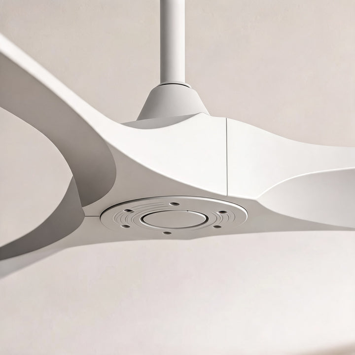 Modern Black Ceiling Fan Flush Mount Metal 6-Speed DC Motor Remote Control Energy Efficient