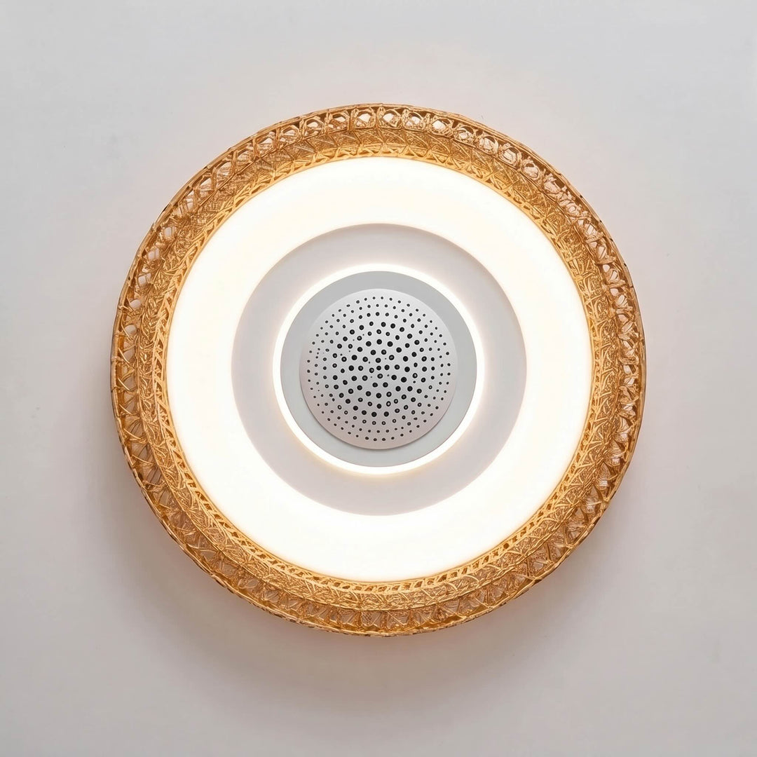 Modern Bladeless Ceiling Fan Flush Mount Acrylic Shade LED Dimmable 6-Speed Indoor Air Purifier