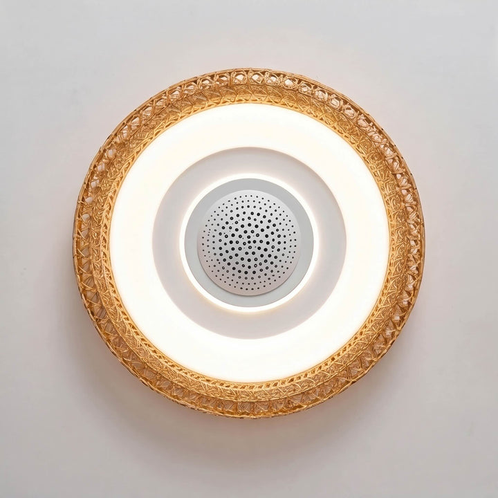 Modern Bladeless Ceiling Fan Flush Mount Acrylic Shade LED Dimmable 6-Speed Indoor Air Purifier